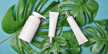 Yeşil bitkisel yapraklarla paketlenmiş kozmetik şişe kapları, organik markalaştırma için boş etiket, doğal cilt bakımı ürün konsepti.