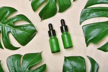 Yeşil bitkisel yapraklarla paketlenmiş kozmetik şişe kapları, organik markalaştırma için boş etiket, doğal cilt bakımı ürün konsepti.