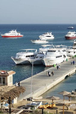 Afrika, Mısır - 18 Ekim 2020: Kızıldeniz 'deki gemiler. Yaşa!