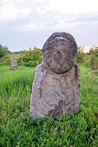 Stone Idol Steppe National Park Stone Tombs National Nature Sanctuary — Stock Photo, Image