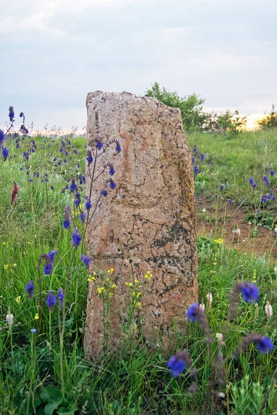 Stone Idol Steppe National Park Stone Tombs National Nature Sanctuary — Stock Photo, Image