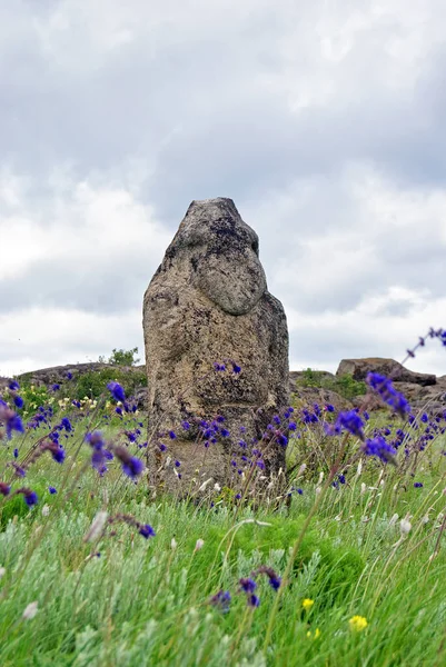 Stone Idol Steppe Salvia Nutans National Park Stone Tombs National — Stock Photo, Image