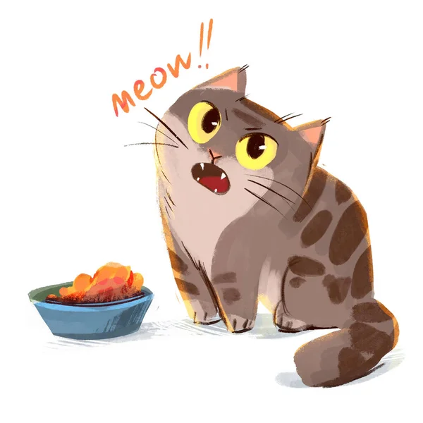 Cat meows sitting beside a bowl of food. Cat asks another meal