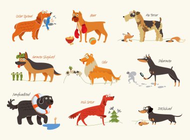 Dog breeds. Working dogs clipart
