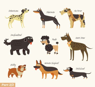 köpek ırkları