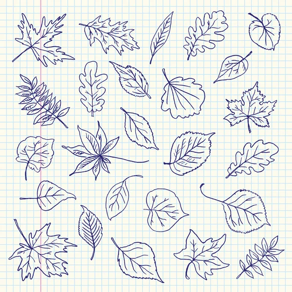 Freehand drawing autumn leaves items on a sheet of exercise book — Stock Vector