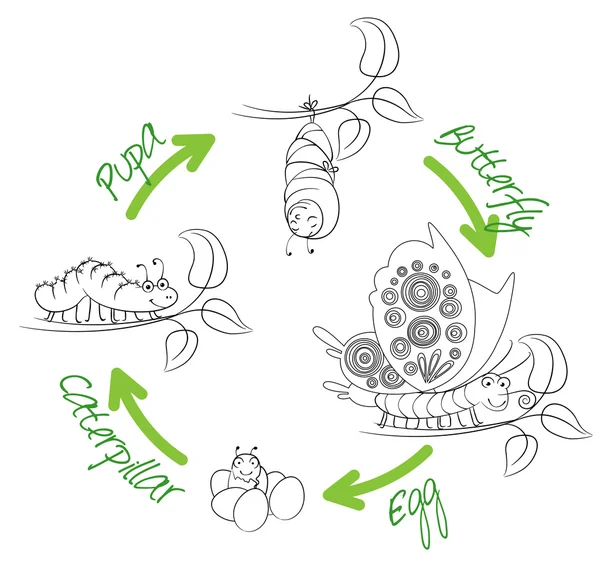 蝶の変態。面白い漫画のキャラクター — ストックベクタ