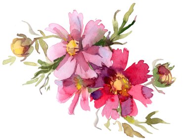 Beyaz arka planda yeşil yapraklı pembe ve kırmızı kır çiçeklerinin suluboya resmi. Narin, yumuşak tonlarda zarif bir çiçek kompozisyonu.
