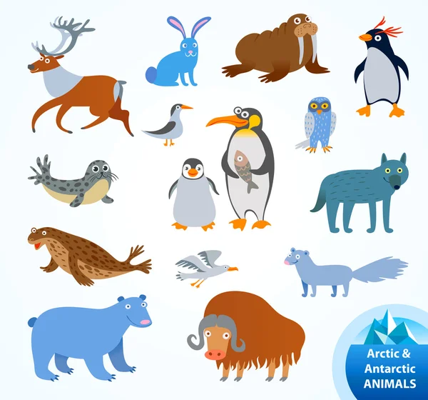 Set funny Arctic and Antarctic animals — Stock Vector