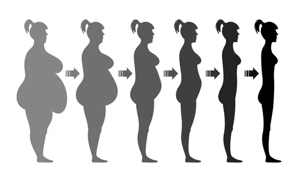 Stages weight loss female figure — Stock Vector