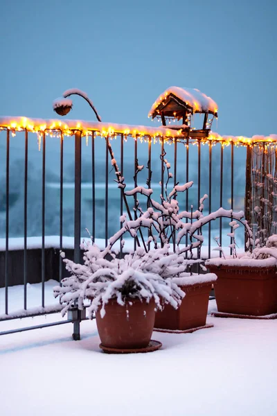 View of small roof garden with plants and wooden birdhouse feeder covered by christmas lights. Snow and cold weather during winter. Concept of ecology garden, bird feeding. Twilight colors, night.