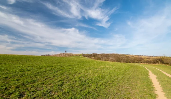 Hustopece şehrinin yakınındaki gözcü kulesi, çiçek açan badem ağacı bahçesine yerleştirilmiş. Güney Moravya bölgesi, Çek Cumhuriyeti. Gün batımında bahar havası.
