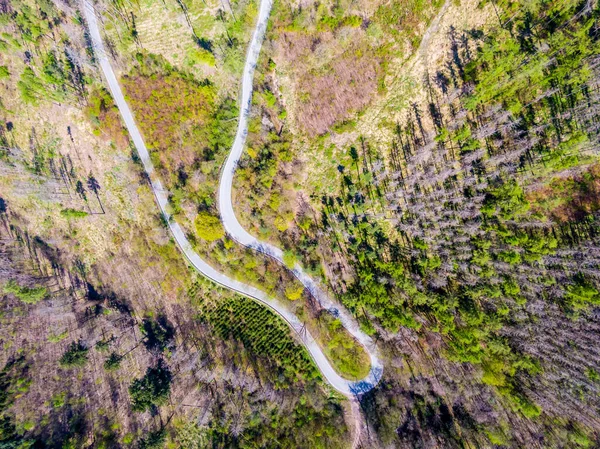 Vue Aérienne Haut Vers Bas Drone Route Courbe Dans Forêt — Photo