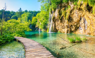 Hırvatistan 'ın Plitvice milli parkındaki tahta patika. Gölün ve şelalenin yanındaki ormanda bir patika. Taze, güzel doğa, huzurlu bir yer. Ünlü turizm beldesi.