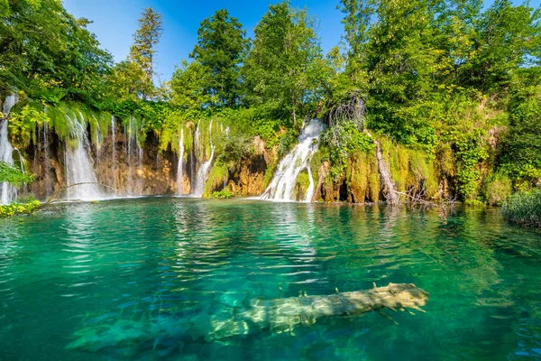 Hermosas Cascadas Lagos Parque Natural Nacional Plitvice Croacia Arroyo Agua —  Fotos de Stock