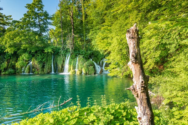 크로아티아 플리트비체 공원에 아름다운 폭포와 호수들 담수는 속에서 흐르고 있습니다 — 스톡 사진