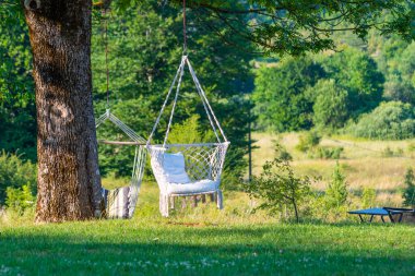 Beyaz sandalye ağaçta asılı. Doğada ve bahçede rahatlama kavramı.