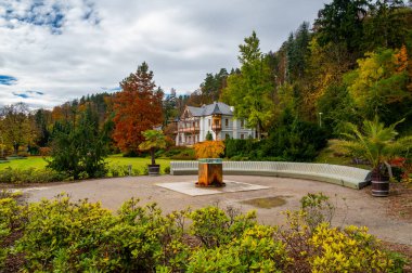Çek Cumhuriyeti 'nin Luhacovice kentindeki Novy Jubilejni baharının sonbahar manzarası, 1884 yılında İsviçre-Alp tarzında inşa edilen tarihi Pembe Villa renkli ağaçlarla çevrili..