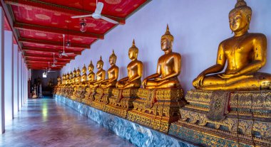 Altın Buda heykelleri Wat Pho içinde düz bir çizgide dizilmiş, sakin ifadeleri ve sıcak yansıtıcı yüzeyleri dingin ve geleneksel bir ruhsal atmosfer yaratıyor..