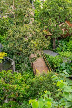 Bangkok 'un çatısındaki Dusit Parkı' nda yürüyüş yolları ve ahşap yollar taze yeşilliklerle çevrili ve modern tasarımı sakin doğal alanla harmanlayan yüksek şehir manzaraları sunuyor..