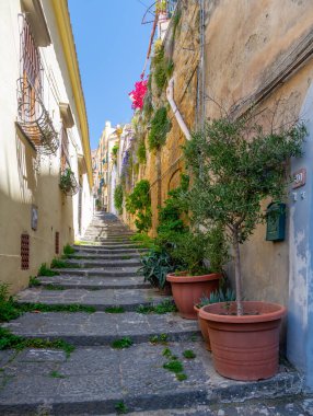 Napoli 'nin dar yokuş yukarı sokakları küçük çalılar ve saksı ağaçlarıyla kaplı, ılık yaz güneşiyle yıkanmış, Güney İtalya' nın sessiz bir semtinin cazibesini yakalıyor..