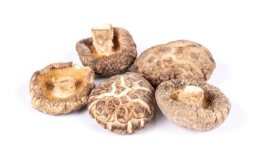 Beyaz arka planda izole edilmiş çiğ mantar grubu.