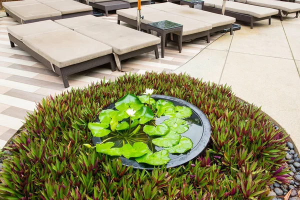 Lotus Planting Basin Garden Hotel — Stock Photo, Image