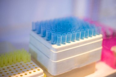 PCR kuyusu mikro plakası ve biyolojik örnekler.