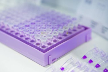 96 kuyusundaki PCR kuyusu tabakasında biyolojik örnekler var.