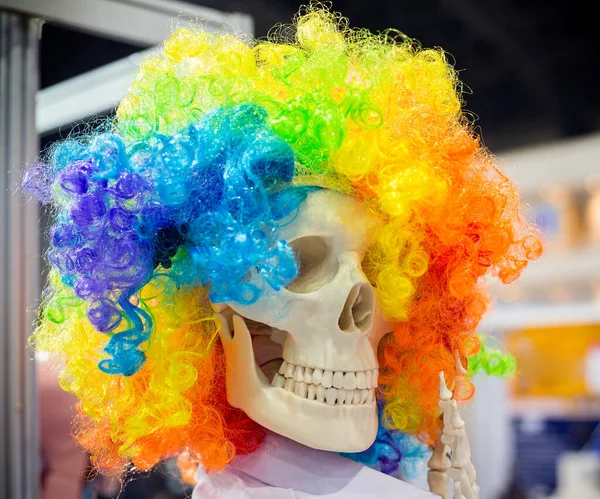 Skull Wearing Wig Colorful Funny — Stock Photo, Image