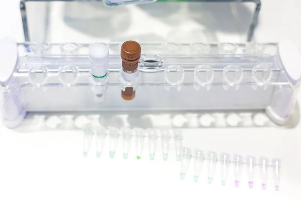 Pcr Well Plate Microplate Biological Samples — Stock Photo, Image