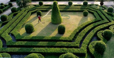 Kuşbakışı ağaçlardan oluşan yeşil bir park