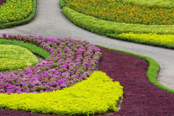 Coloridos Árboles Decoran Maravillosamente Jardín — Foto de Stock
