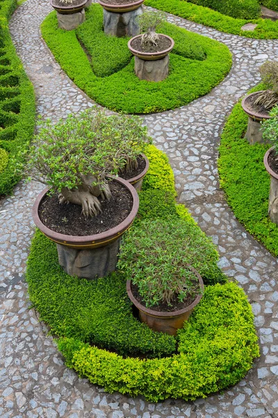 Coloridos Árboles Decoran Maravillosamente Jardín — Foto de Stock