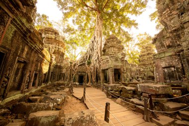 Ta Prohm Tapınağı, Khmer İmparatorluğu 'nun taş bir kalesidir. Phra Nakhon hendeğinden uzakta.