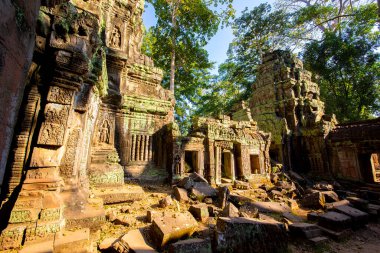 Ta Prohm Tapınağı, Khmer İmparatorluğu 'nun taş bir kalesidir. Phra Nakhon hendeğinden uzakta.