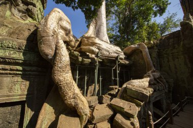 Ta Prohm Tapınağı, Khmer İmparatorluğu 'nun taş bir kalesidir. Phra Nakhon hendeğinden uzakta.