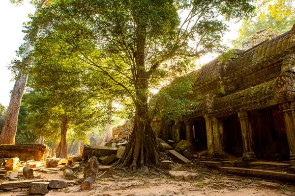 Templo Prohm Castelo Pedra Império Khmer Localizado Longe Fosso Phra — Fotografia de Stock