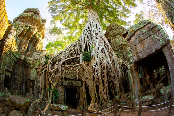 Templo Prohm Castelo Pedra Império Khmer Localizado Longe Fosso Phra — Fotografia de Stock