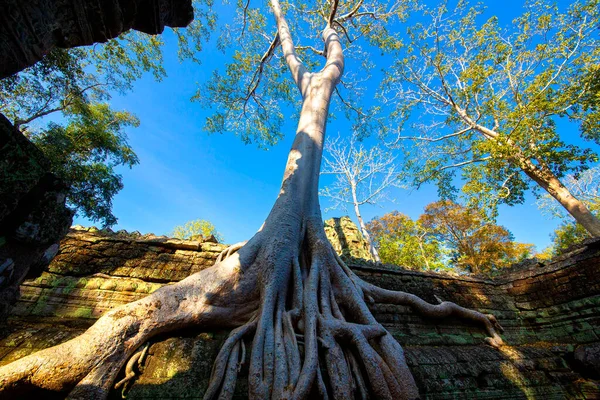 Templo Prohm Castelo Pedra Império Khmer Localizado Longe Fosso Phra — Fotografia de Stock