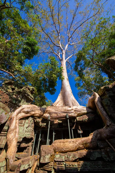 Templo Prohm Castelo Pedra Império Khmer Localizado Longe Fosso Phra — Fotografia de Stock