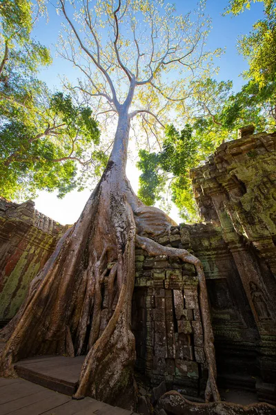 Templo Prohm Castelo Pedra Império Khmer Localizado Longe Fosso Phra — Fotografia de Stock