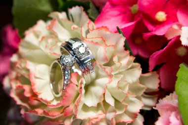 Çiçeklerdeki alyanslar