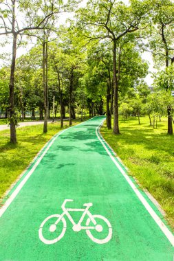 Parkta yeşil bisiklet yolu