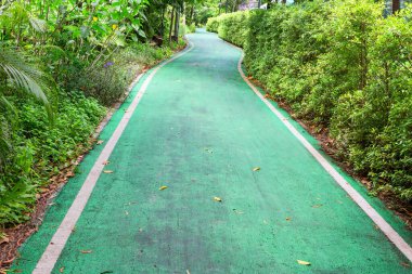 Parkta yeşil bisiklet yolu