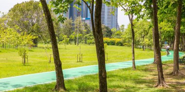 Parkta yeşil bisiklet yolu