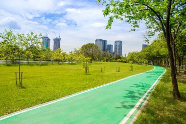 Parkta yeşil bisiklet yolu