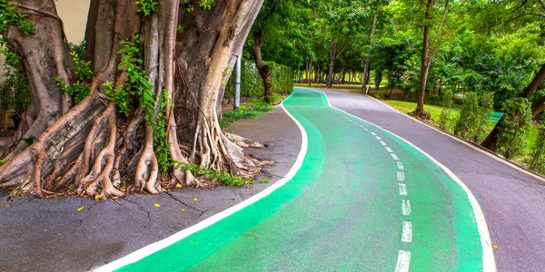 Piste Cyclable Verte Dans Parc — Photo