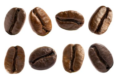 Beyaz arka planda taze kahve çekirdekleri.