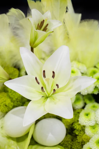 Des Tulipes Colorées Dans Boutique — Photo